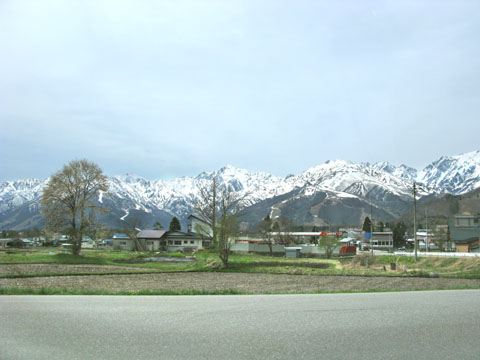 f0031535_1334529.jpg