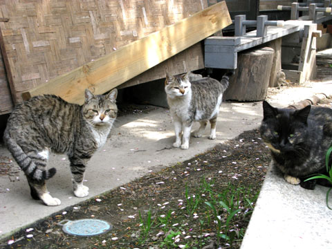 f0031535_13392390.jpg
