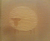 b0079436_19371149.jpg