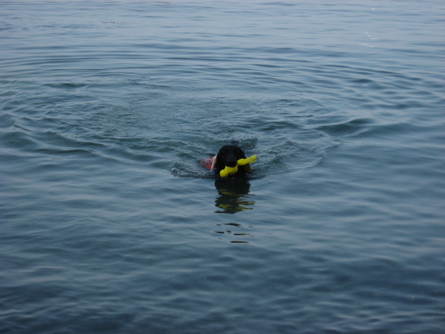 f0176036_10050.jpg