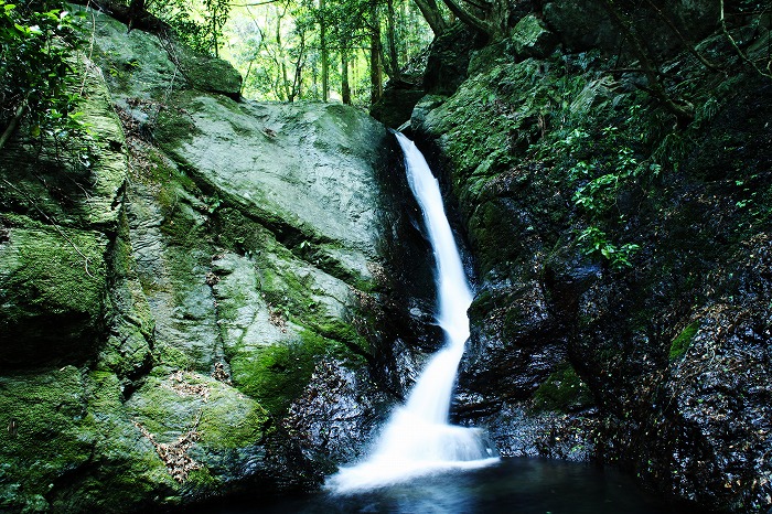 b0168041_17365920.jpg