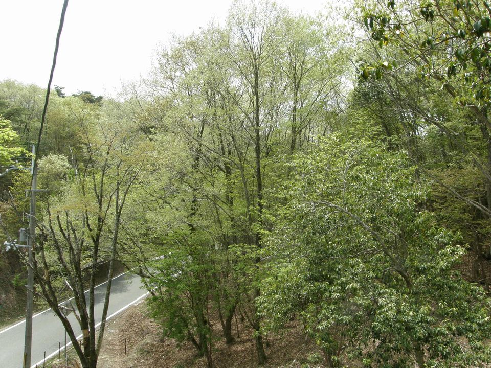f0090444_21422025.jpg