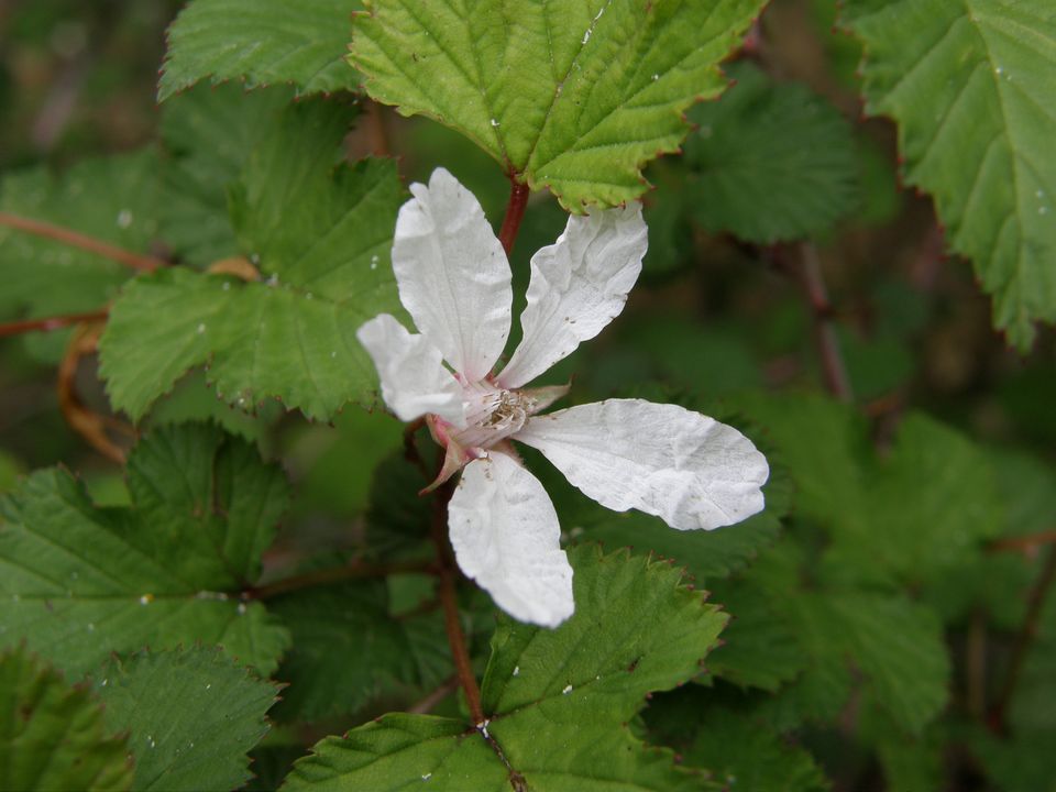 f0090444_21461533.jpg