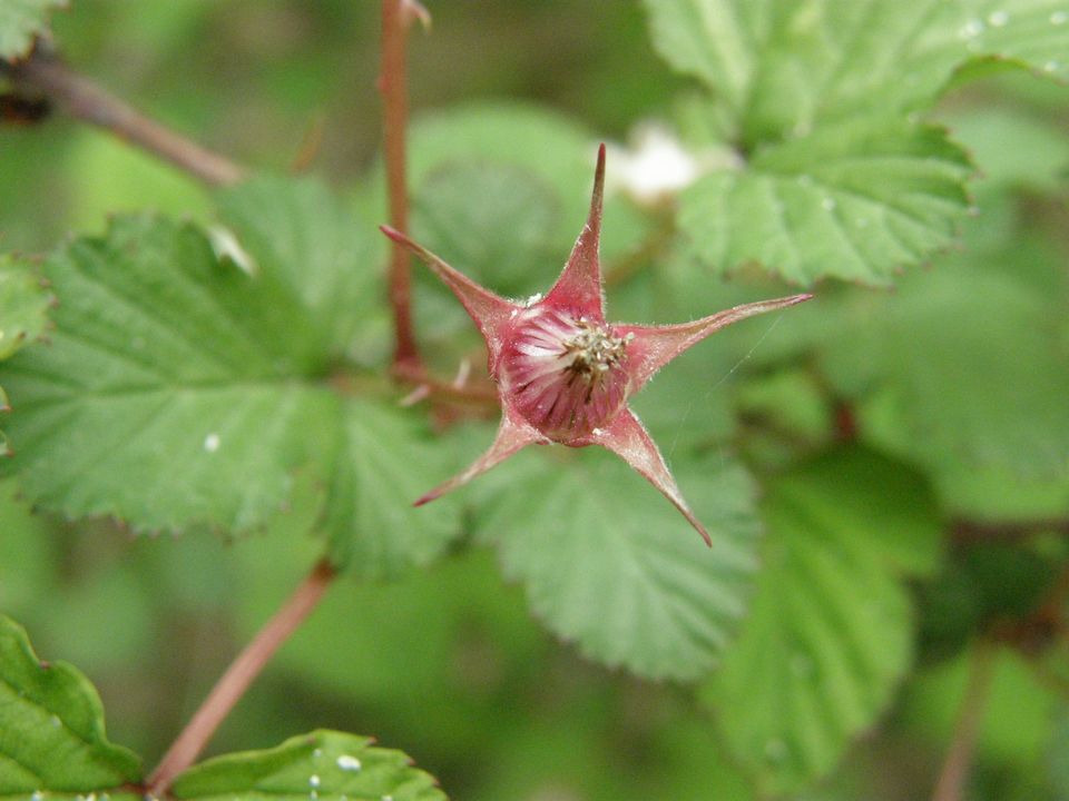 f0090444_21465949.jpg
