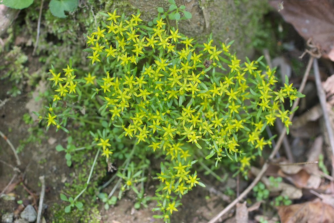 c0008948_17532.jpg