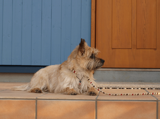 c0147548_1424469.gif