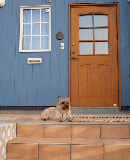 c0147548_14251885.gif