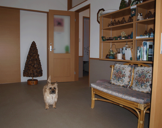c0147548_14595862.gif