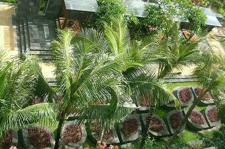 St.Regis Bali ～ ひと雨季越えた緑の記録\'09・4月 ～_a0074049_168550.jpg