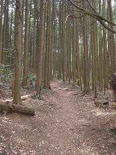 b0148050_22332498.jpg
