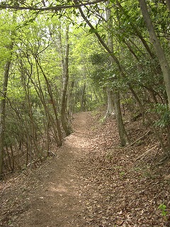 b0148050_22335774.jpg