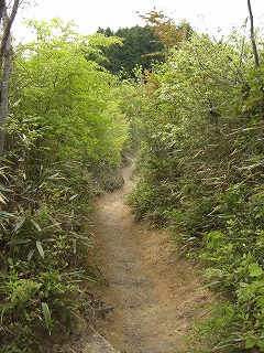 b0148050_22341726.jpg