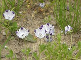 b0148050_22375820.jpg