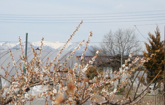 e0126350_091249.jpg