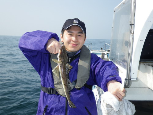鱚春来る。やっと釣れ始めました。_f0175450_9573956.jpg