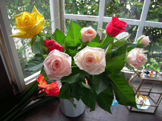 b0005652_1913451.gif