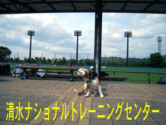 b0005652_194382.gif