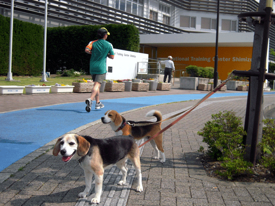 b0005652_1952524.gif