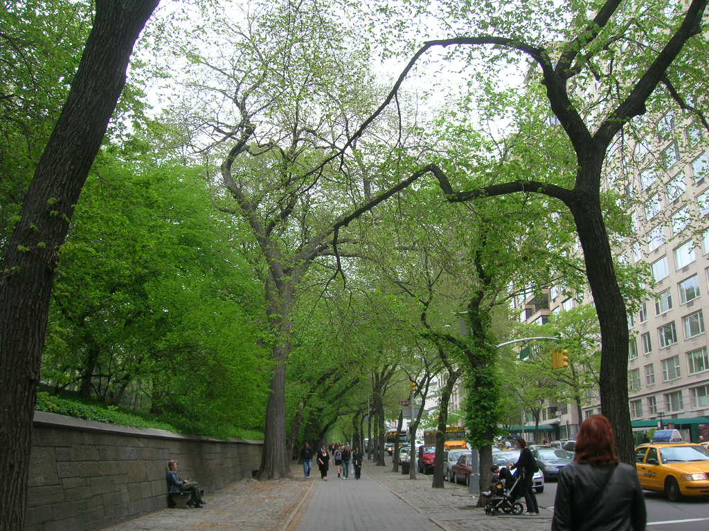 c0194753_21382094.jpg