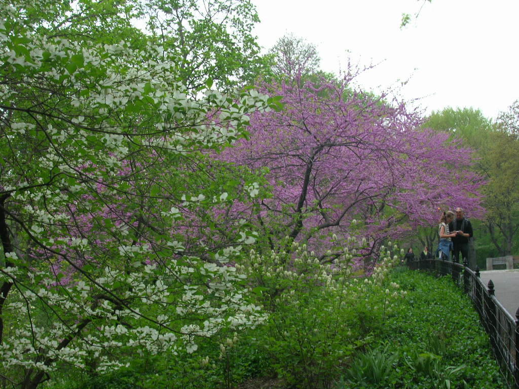 c0194753_21411521.jpg