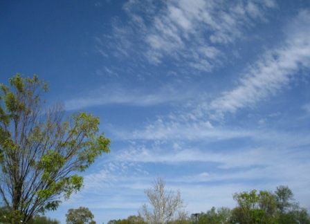 b0173754_1562516.jpg