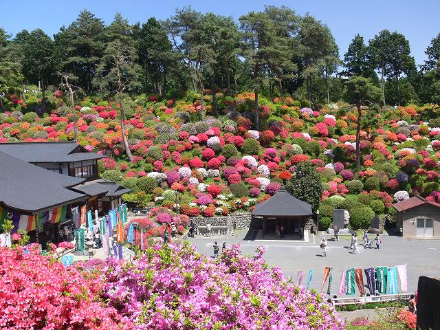 つつじの名所めぐり 1 3 鎌倉 徘徊人 つつじの名所めぐり 1 3 鎌倉 徘徊人