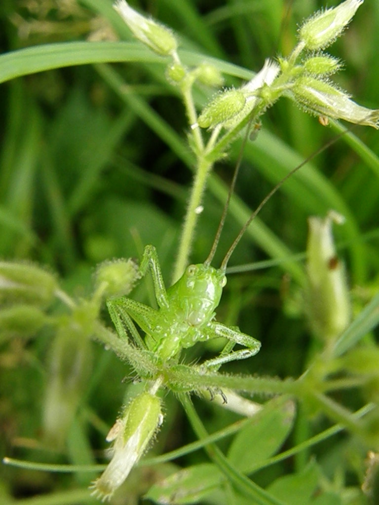e0064158_2155296.jpg
