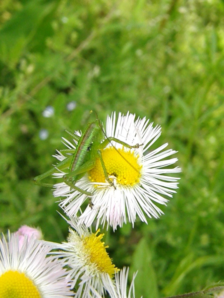 e0064158_21575218.jpg
