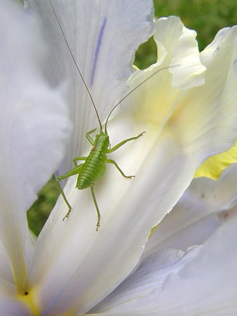 e0064158_21584863.jpg
