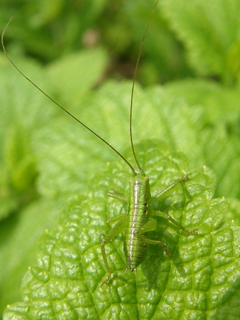 e0064158_2158742.jpg