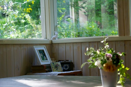 d0083761_20161936.jpg