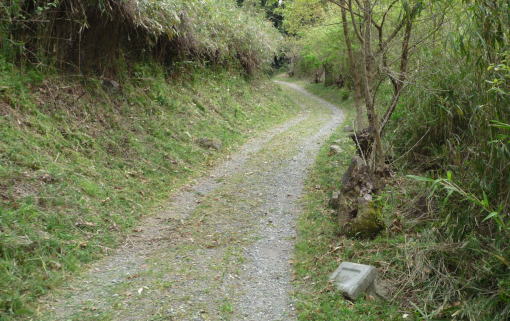 b0129962_17543741.jpg