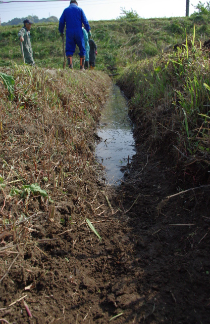 c0187166_09854.jpg