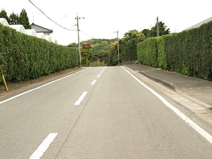 b0089967_18342155.jpg