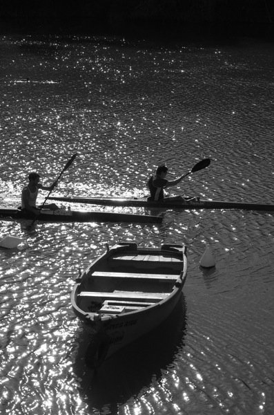 c0164274_10471.jpg