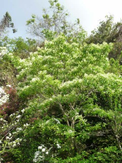 e0046477_22381753.jpg