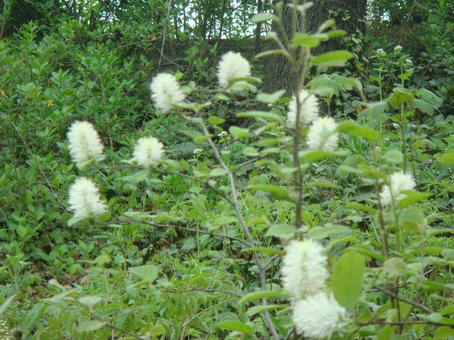 d0100880_2159157.jpg