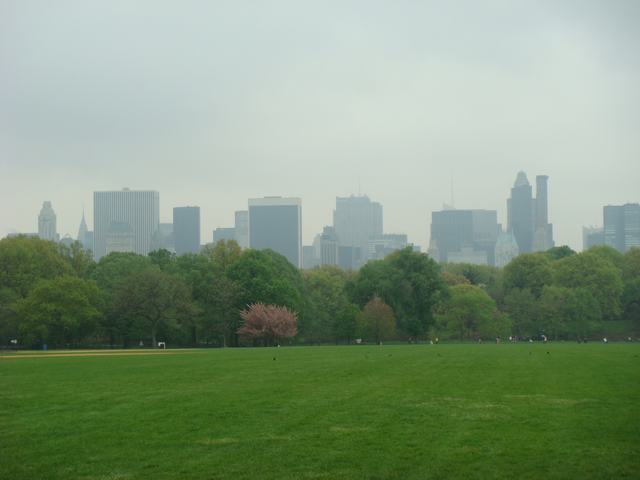 d0100880_22144313.jpg