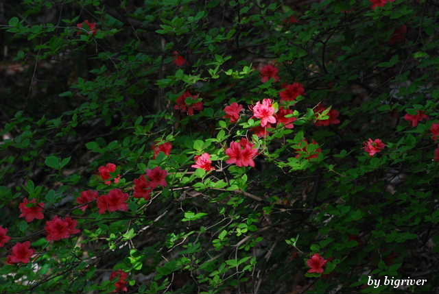 f0202686_1805491.jpg
