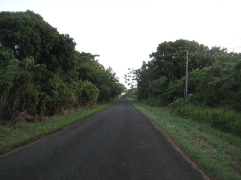 c0013687_16521718.jpg