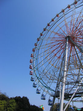 ネモフィラの丘へ。。。& 嬉しいお知らせ。。_c0169287_23415293.jpg