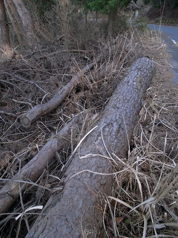 c0196900_16235173.jpg
