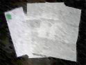 e0067502_1401046.jpg