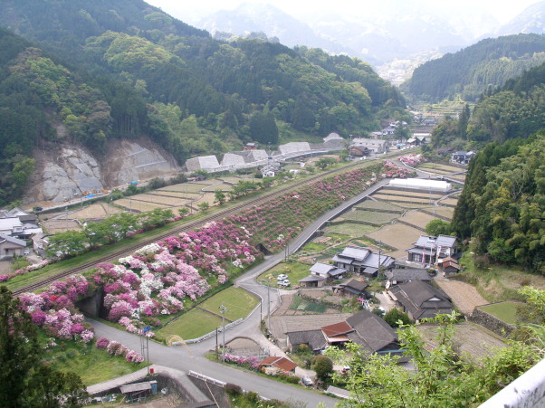 c0036203_2024425.jpg