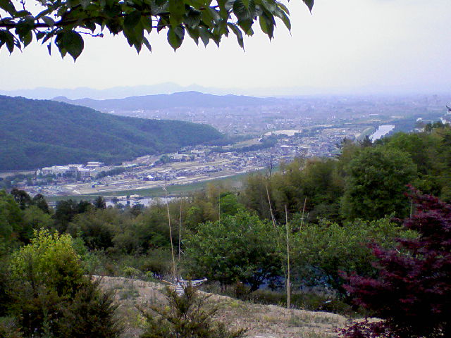 f0197703_1111162.jpg