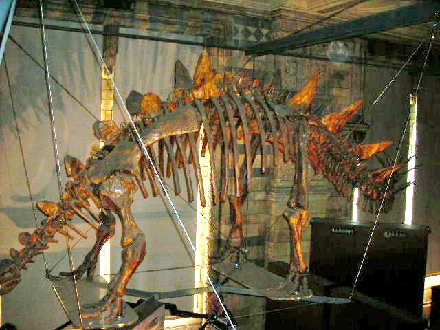 e0160905_1443956.jpg