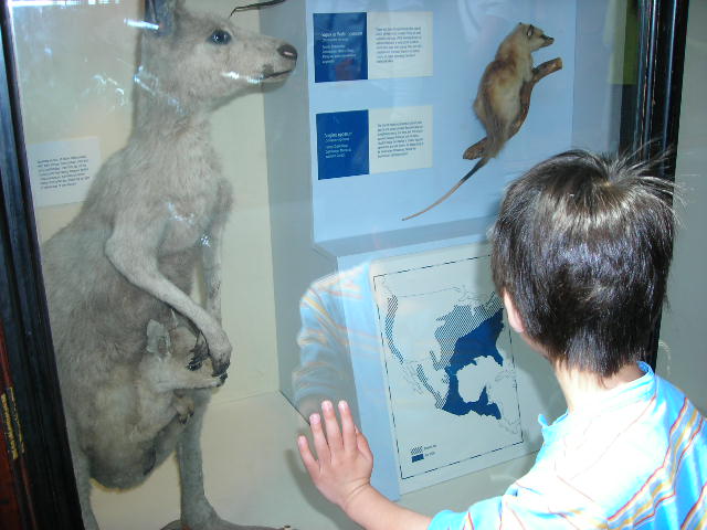 e0160905_145636.jpg