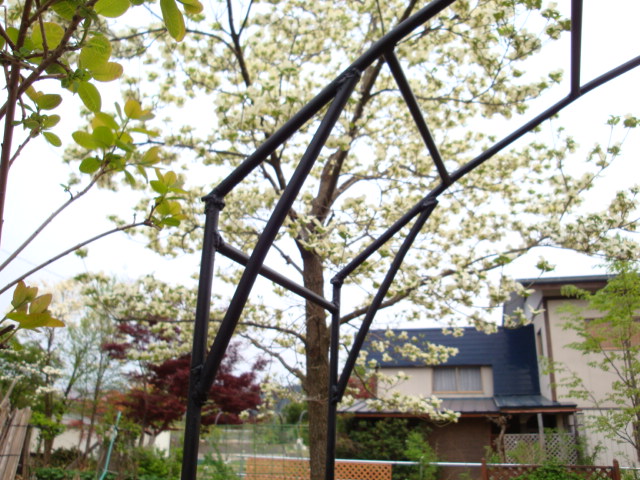 e0175905_20233492.jpg