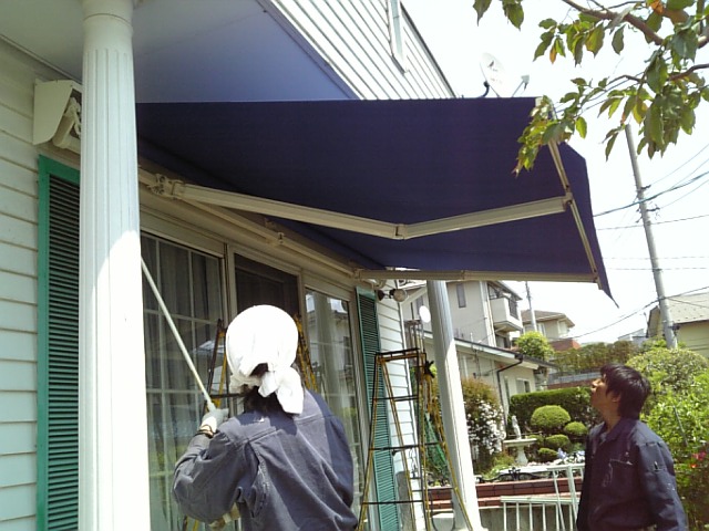 c0099210_753583.jpg