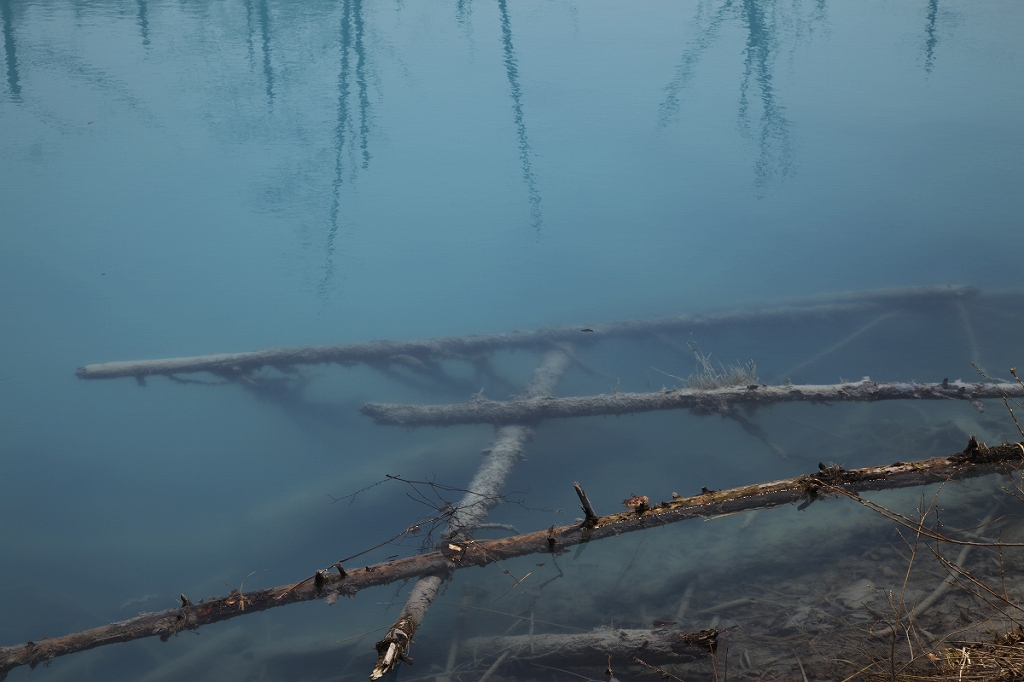 The Blue Pond In Biei　Vol.1_e0177011_0191314.jpg